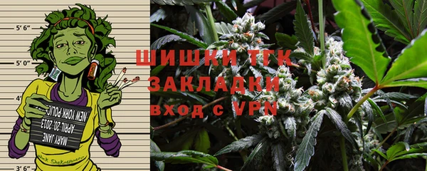 ГАЛЛЮЦИНОГЕННЫЕ ГРИБЫ Богородск