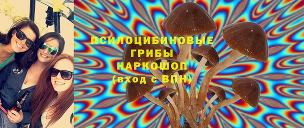 гашиш Богородицк